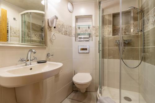 a bathroom with a toilet and a sink and a shower at Appartement`s - HAUS KAROLA in Bad Schandau