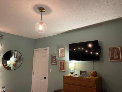 uma sala de estar com uma televisão de ecrã plano na parede em Solar Roof, eco-friendly home em Baltimore