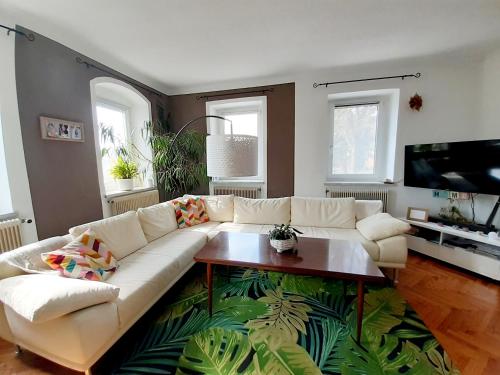 a living room with a couch and a coffee table at Schöne Altbauwohnung auf dem Land in Kallham