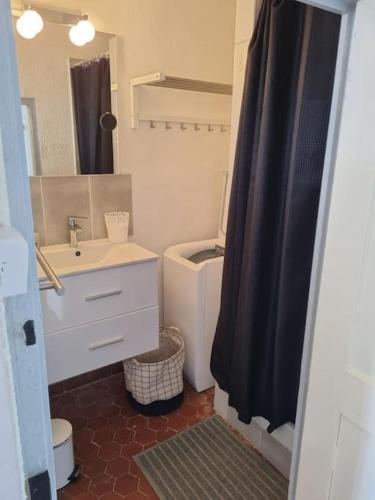 une salle de bain avec un lavabo, des toilettes et une douche dans l'établissement Appartement face au lac, à Bauduen