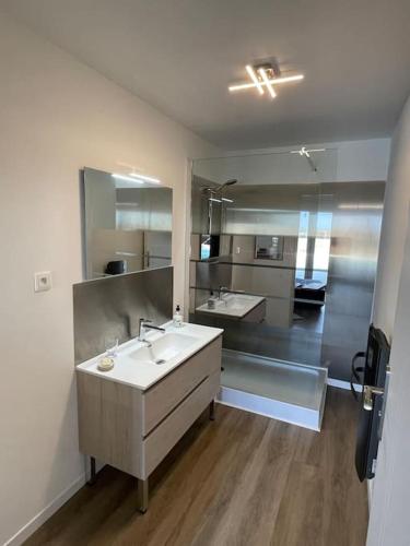une salle de bain avec deux lavabos et un grand miroir dans l'établissement T2 de 50m2 indépendant à 15mn de Toulouse, à Préserville