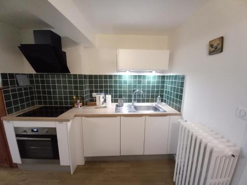 een kleine keuken met een spoelbak en een fornuis bij Bulle d'Ardenne in Charleville-Mézières