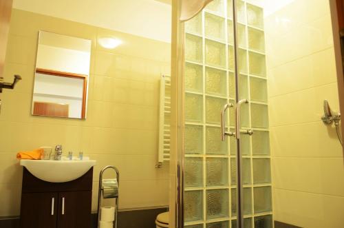 a bathroom with a sink and a glass shower at ApartHotel Zorilor in Cluj-Napoca