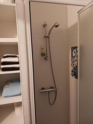 une douche dans une salle de bain avec une porte vitrée dans l'établissement studio charmant et calme villeneuve les avignon entrée et cour indépendantes climatisation piscine parking, à Villeneuve-lès-Avignon