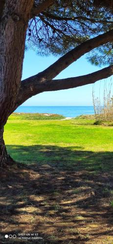 maison, mer, piscine, parking