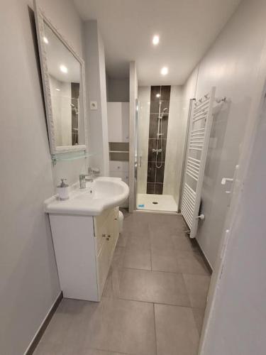 une salle de bain blanche avec un lavabo et une douche dans l'établissement Maison de ville - Quai Sully, à Millau