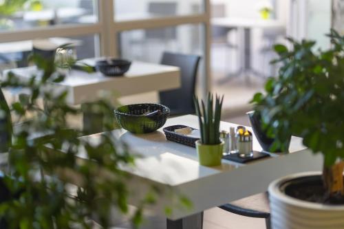 a table with plants on it in an office at Boardinghouse HOME - adults only - in Konstanz