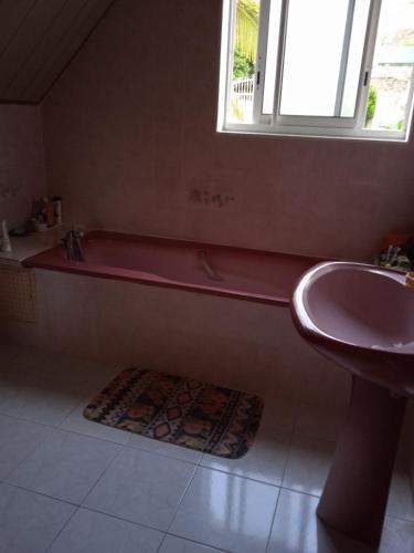 La salle de bains est pourvue d'une baignoire, d'un lavabo et d'une fenêtre. dans l'établissement La Kaz Kika, à Saint-Denis