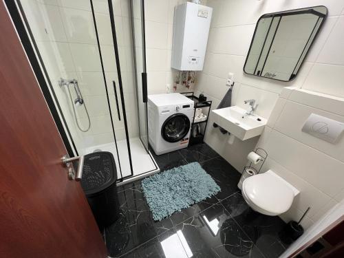 y baño con lavamanos y lavadora. en Sušilova 14 apartments I, en Přerov