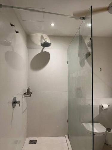 Un baño con inodoro y ducha de cristal. en Beachfront Apartment, en Tamarin