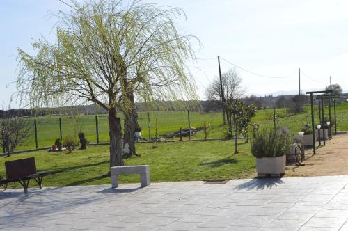 a park with a tree and a bench and a field at Mas Piua in Girona