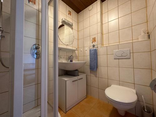 a small bathroom with a toilet and a sink at Alpenblick Schattwald in Schattwald