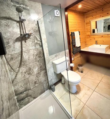 a bathroom with a shower and a toilet and a sink at Wren 23-Hot Tub-Woodland Lodges-Tenby-Pembroke in Carmarthen