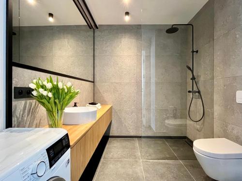 a bathroom with a shower and a toilet and a sink at Apartamenty Małgorzaty Sobczak in Jelenia Góra
