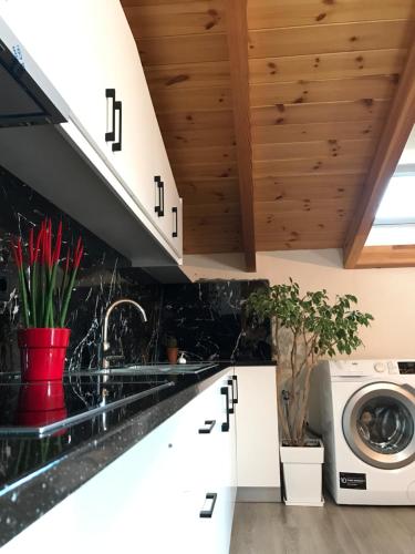 a kitchen with a sink and a washing machine at Wooden Guest House in Bamatat