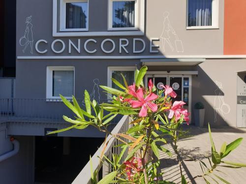 eine Pflanze mit rosa Blumen vor einem Gebäude in der Unterkunft Hotel Concorde Fiera in Saronno