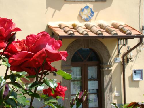 a red rose in front of a building at Borgo Tepolini Country House in Castel del Piano
