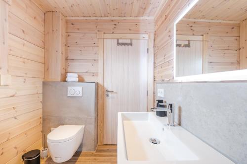 uma casa de banho com um lavatório branco e um WC. em Bergwaldchalet Komfort em Schierke
