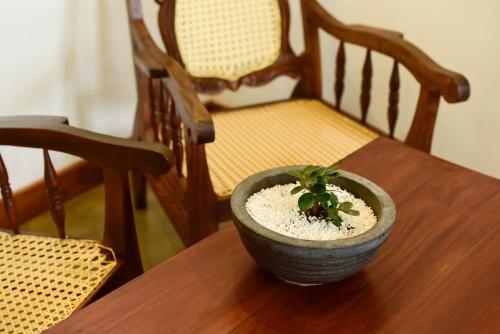 eine Pflanze in einer Schale auf einem Holztisch in der Unterkunft Hiru Lagoon Negombo in Negombo