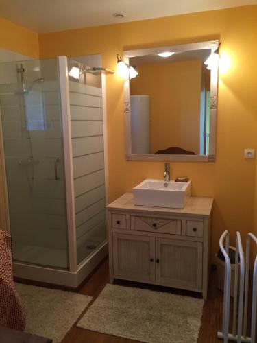 une salle de bain avec un lavabo et une douche avec un miroir dans l'établissement Gîte rural Le Pressoir, à La Vacquerie