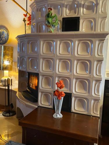Fotografie z fotogalerie ubytování Luxurious Townhouse Petelin v destinaci Plužna