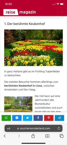 a screenshot of the tesis mazarin website at Luxus Chalet Waterfront in Lathum