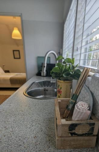 a kitchen counter with a sink and a potted plant at Vita Nova in Hippolytushoef
