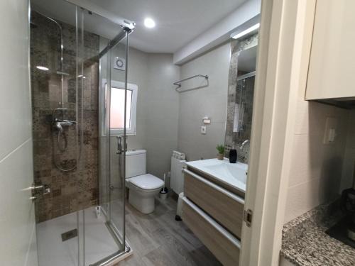 a bathroom with a shower and a toilet and a sink at Apartamento de Colón in Gijón