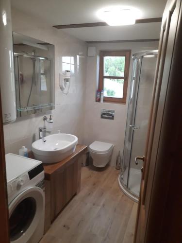 a bathroom with a sink and a washing machine at Kuća sa bazenom za odmor i domjenke MARIS in Gornji Kraj