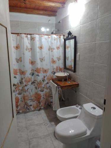 La salle de bains est pourvue de toilettes, d'un lavabo et d'un rideau de douche. dans l'établissement La Casona de Cerro Colonial, à Trapiche