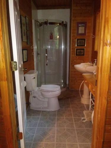 a bathroom with a toilet and a shower and two sinks at Two Rivers Cabins - The Dell in Brevard
