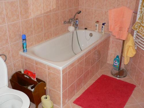 a bathroom with a bath tub and a toilet at Apartmán Rokytka s balkonem in Rokytnice nad Jizerou