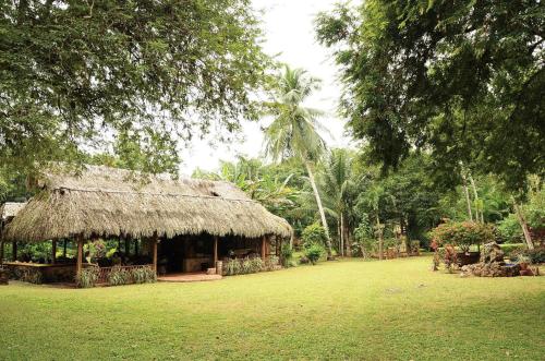 een hut met een grasdak in een veld bij Cabañas Maya Aire 