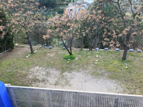 a view of a park with flowering trees and a fence at Casa Gallinera in Benissiva