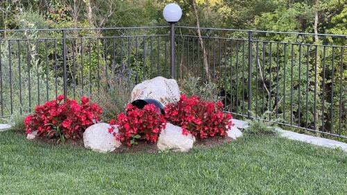 a group of red flowers in front of a fence at Agriturismo a Canonica in Garlenda