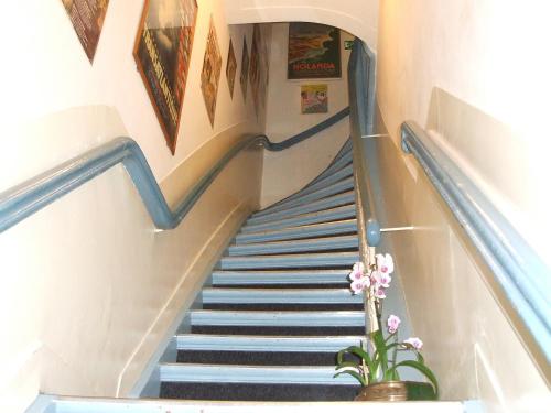 a staircase with blue and white stairs with a plant at Hotel Museumzicht in Amsterdam