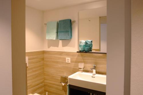 a bathroom with a sink and a mirror at Hotel Landgasthaus Neues Bild, Eggerstanden in Appenzell