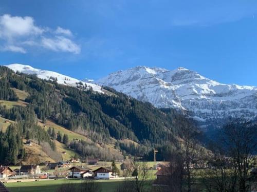 a mountain with snow capped mountains in the distance at Cozy apartment in center Lenk in Lenk