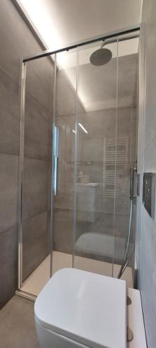 a bathroom with a toilet and a glass shower at Il Profumo Dellegrazie in Le Grazie