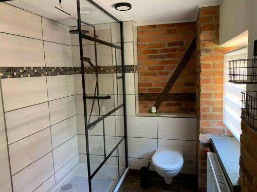 a bathroom with a shower and a toilet at Wellness & Wirlpool-Oase am Wald - Waldferienhaus Dunja in Oybin in Hain
