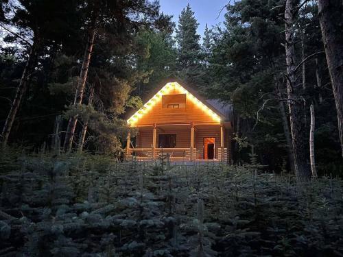 a log cabin in the woods with lights on at Yeghevni Rest House in Jermuk