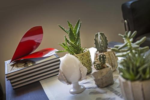 a table with a group of potted plants on it at Hotel Meridiana in Malcesine