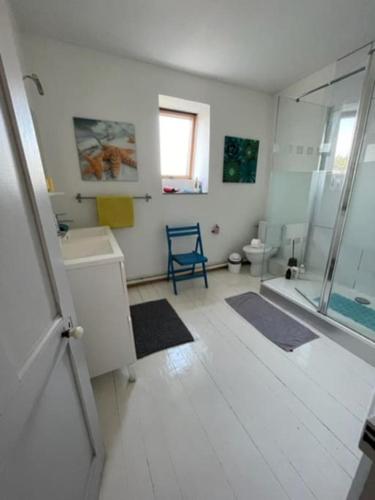 une salle de bain avec une douche, un lavabo et des toilettes dans l'établissement Grande maison proche mer, centre Wimereux, à Wimereux