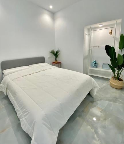 Dormitorio blanco con cama blanca y espejo en Apartamento Isasa, en Córdoba