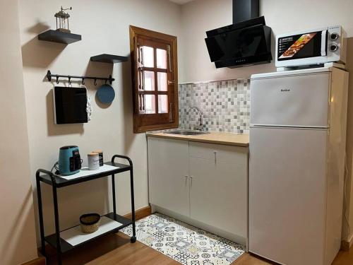 a kitchen with a white refrigerator and a microwave at Habitación con encanto in Granada