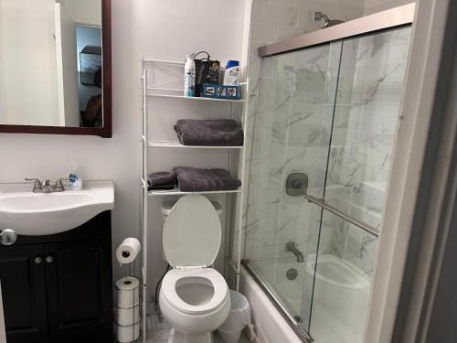 a bathroom with a shower and a toilet and a sink at Full loft-style apartment near Omni in New Haven