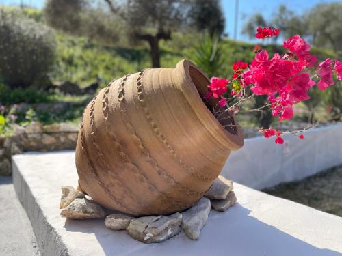 a vase with flowers in it sitting on a ledge at Armoniahousesuites in Perítheia
