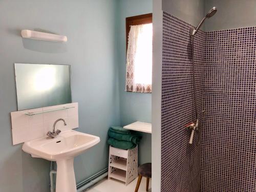 La salle de bains est pourvue d'un lavabo et d'une douche. dans l'établissement Maison Lavande le grande gite, à Menetou-sur-Nahon