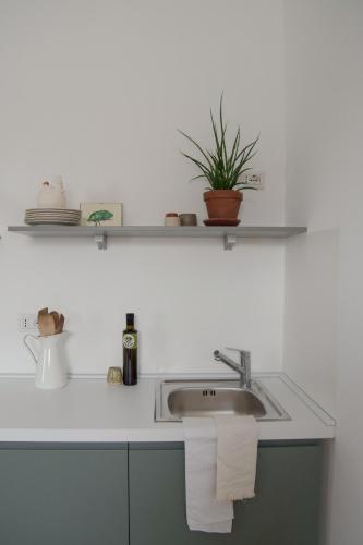 a kitchen sink with a plant on a shelf at Agriturismo Colle Igino in Matera
