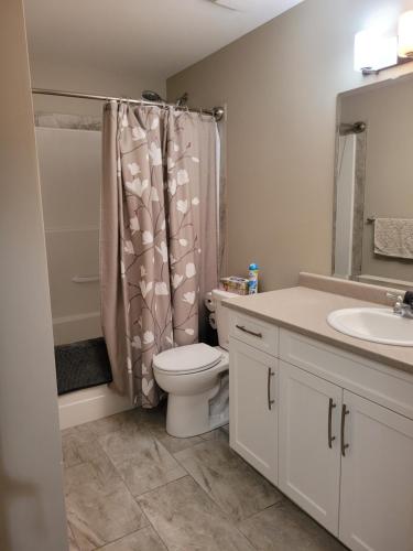 a bathroom with a toilet and a sink and a shower at Lakeview in Peachland